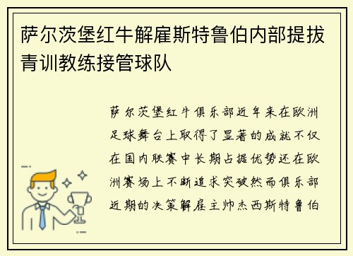 萨尔茨堡红牛解雇斯特鲁伯内部提拔青训教练接管球队