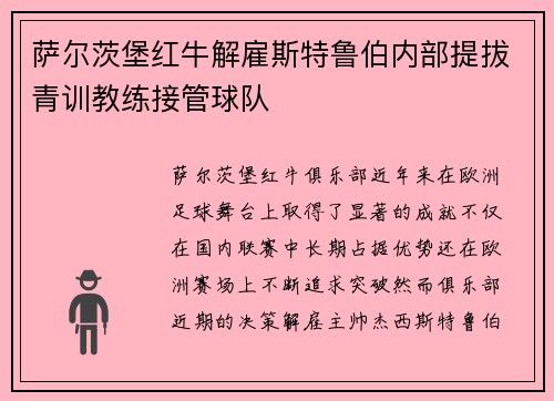 萨尔茨堡红牛解雇斯特鲁伯内部提拔青训教练接管球队